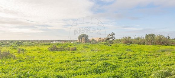 4 Schlafzimmer Schlösser in Pechao, Portugal, Nr. 23279 9