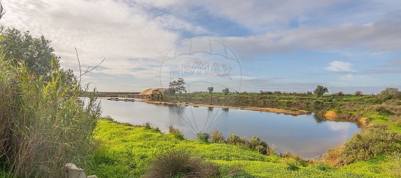 4 Schlafzimmer Schlösser in Pechao, Portugal, Nr. 23279 11