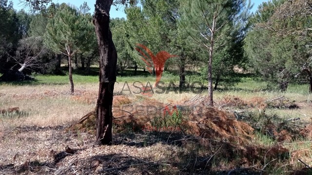  Land in Quarteira, Portugal No. 192755