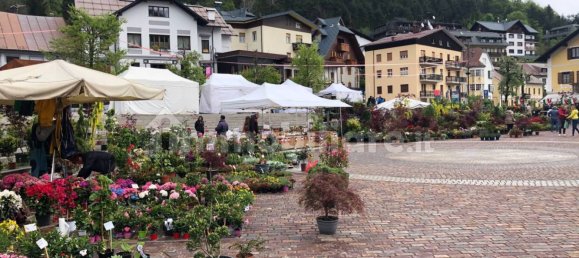 1غرفة عقار تجاري في Udine, Italy رقم 67349 6