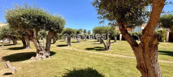 Дом с 4 спальнями в Гия, Португалия № 116665 12