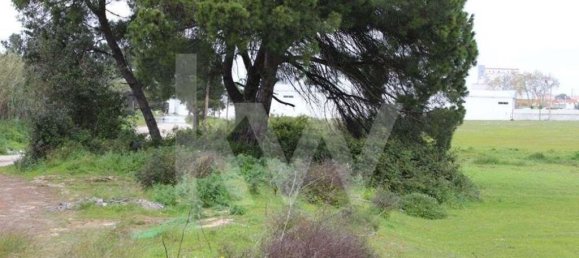 74999m² Land in Montijo, Portugal No. 134143 9