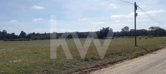 74999m² Land in Montijo, Portugal No. 134143 4