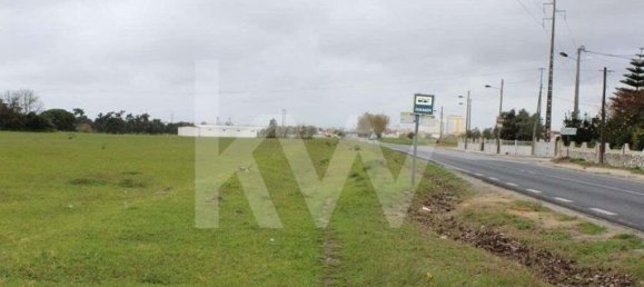 74999m² Land in Montijo, Portugal No. 134143 8