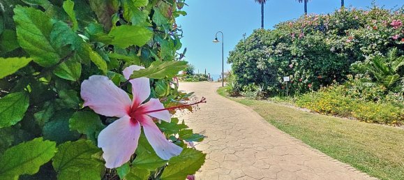 Квартира с 1 спальней в Эстепона, Испания № 146182 17