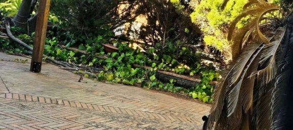 6 غرف نوم فيلا في Catanzaro, Italy رقم 363838 19