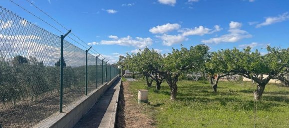 3200m² Land in Chartered Community of Navarre, Spain No. 34157 22