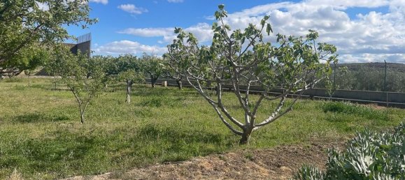 3200m² Land in Chartered Community of Navarre, Spain No. 34157 36