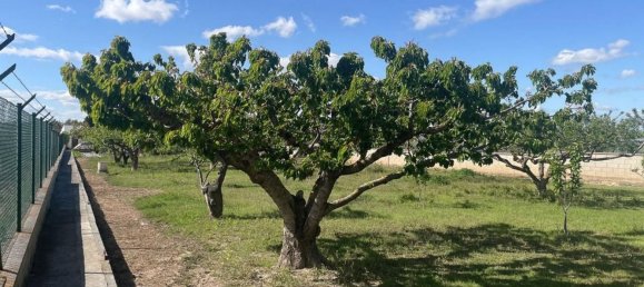 3200m² Land in Chartered Community of Navarre, Spain No. 34157 20