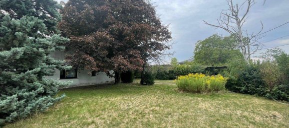 قطعة أرض في Vienna, Austria 1060متر مربع رقم 234701 4