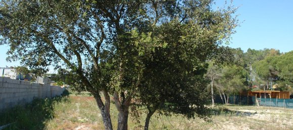 10375m² Land in Grandola, Portugal No. 63560 11