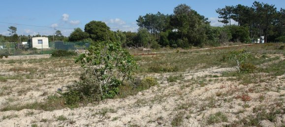 10375m² Land in Grandola, Portugal No. 63560 10