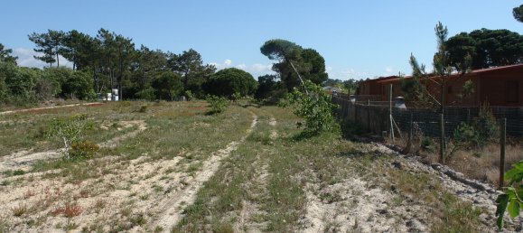 10375m² Land in Grandola, Portugal No. 63560 7