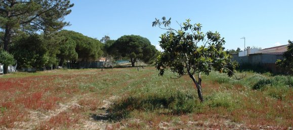 10375m² Land in Grandola, Portugal No. 63560 13