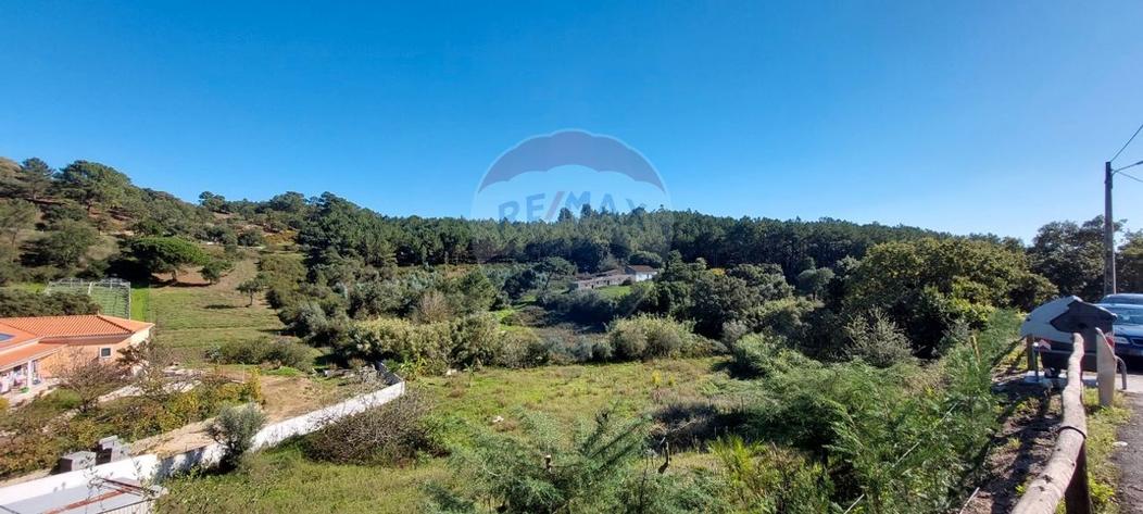 Земельный участок в Лориш, Португалия № 71723