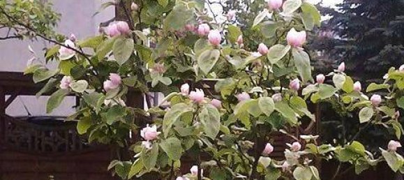 4 rooms Villa in Grafenbach-St. Valentin, Austria No. 184186 16