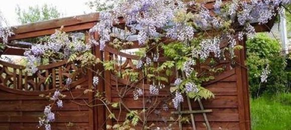 4 rooms Villa in Grafenbach-St. Valentin, Austria No. 184186 18