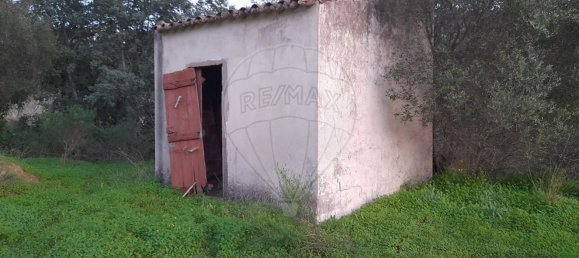 Grundstück in Sao Bartolomeu de Messines, Portugal 25480m², Nr. 36810 4