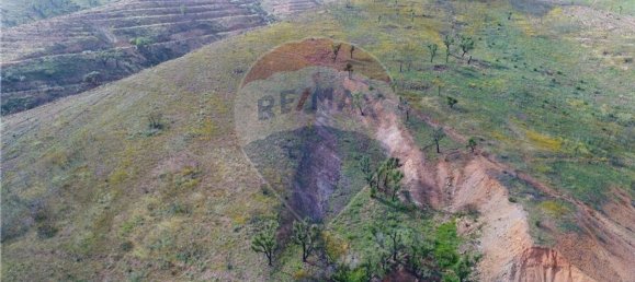 Grundstück in Sao Bartolomeu de Messines, Portugal 25480m², Nr. 36810 3