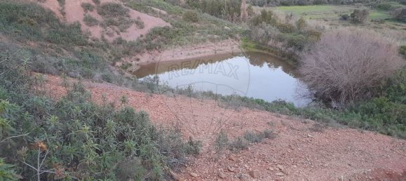 Grundstück in Sao Bartolomeu de Messines, Portugal 25480m², Nr. 36810 6