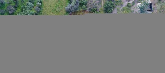 Grundstück in Sao Bartolomeu de Messines, Portugal 25480m², Nr. 36810 5