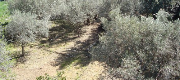 6-Zimmer Villa in Modica, Italy, Nr. 233194 24