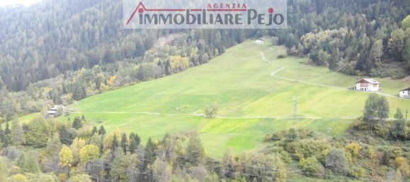 Квартира с 4 комнатами в Вермильо, Италия № 27857 5