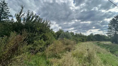  Land in Niederleis, Austria No. 232555