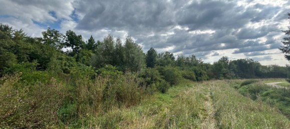  Land in Niederleis, Austria No. 232555 2