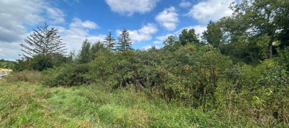  Land in Niederleis, Austria No. 232555 9