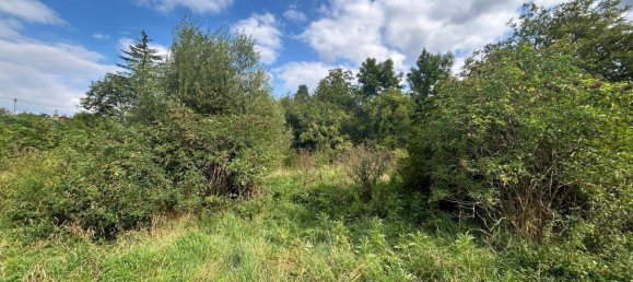  Land in Niederleis, Austria No. 232555 8