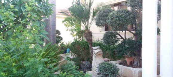 6 غرف نوم عقار تجاري في Empa, Cyprus رقم 21141 10