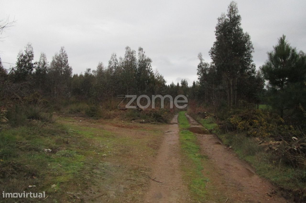 Grundstück in Vila Nova de Famalicao, Portugal 6800m², Nr. 35735