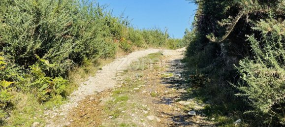 Grundstück in Vila Nova de Famalicao, Portugal 6800m², Nr. 35735 13