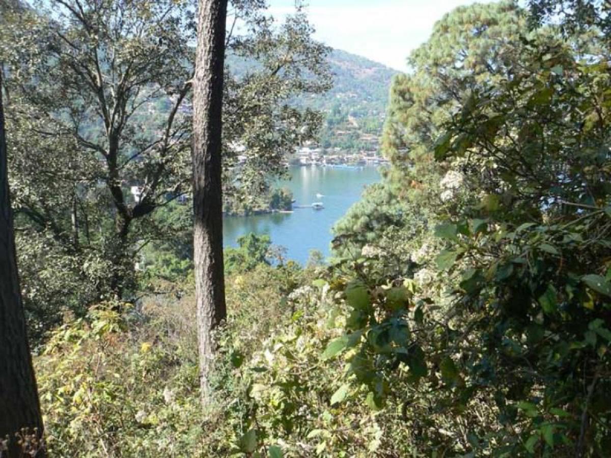  Land in Heroica Matamoros, Mexico No. 202851