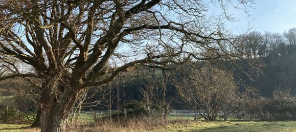 3 غرف نوم منزل في Mayenne, France رقم 357787 6