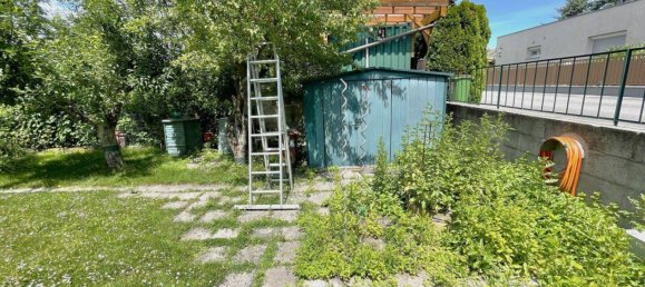 2 rooms House in Lassee, Austria No. 108904 8