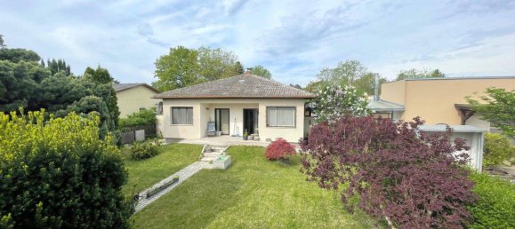 2 rooms House in Lassee, Austria No. 108904 4