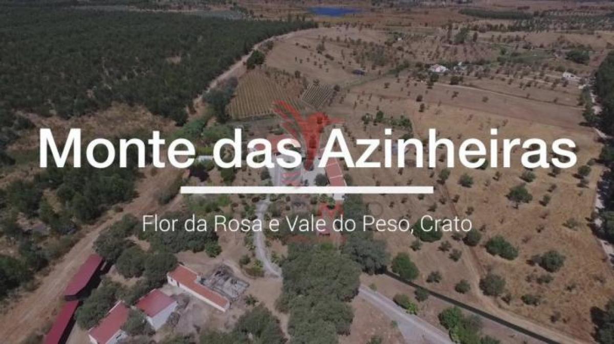 4 bedrooms House in Crato, Portugal No. 14