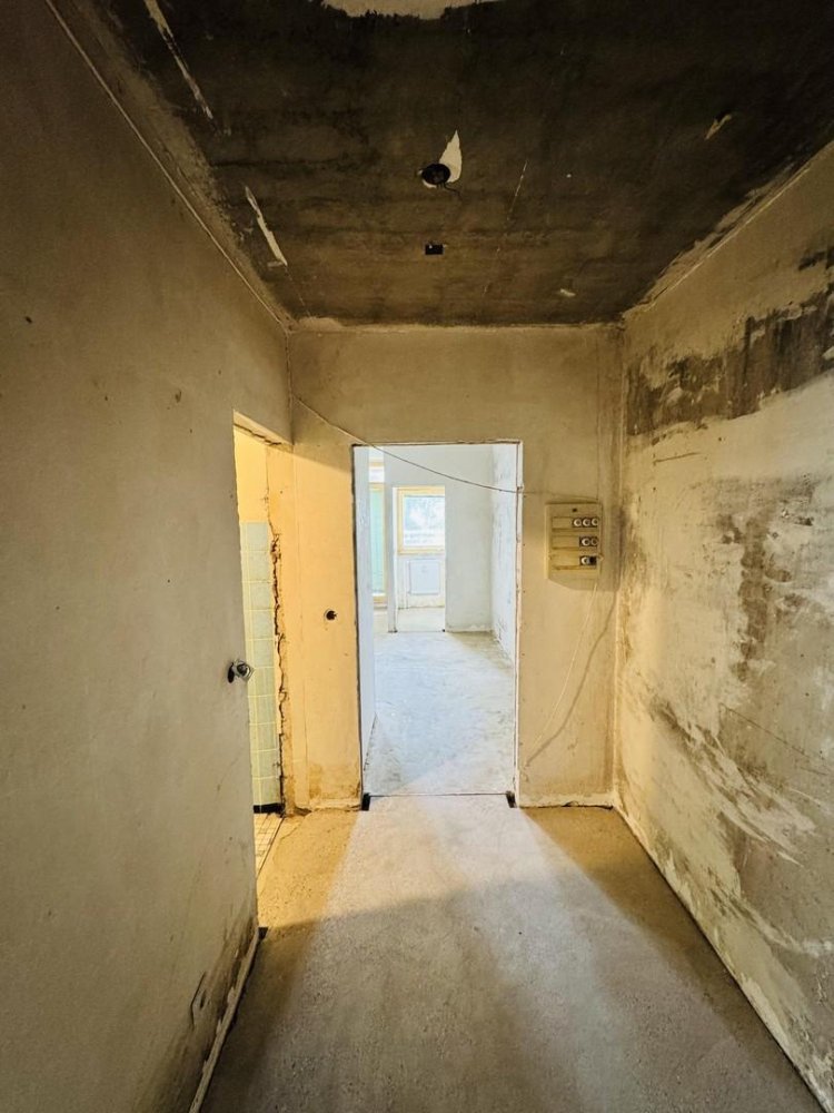 Estudio en Nuremberg, Germany No. 328272