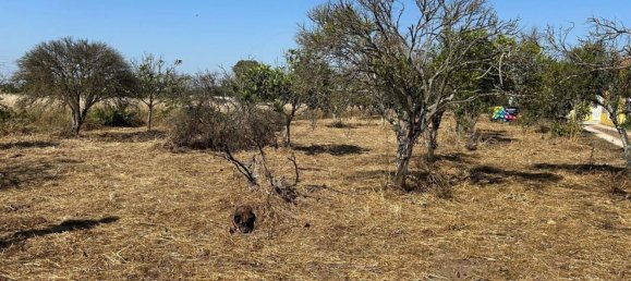 قطعة أرض في Palmela, Portugal 3529متر مربع رقم 67924 8