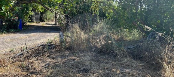 قطعة أرض في Palmela, Portugal 3529متر مربع رقم 67924 7