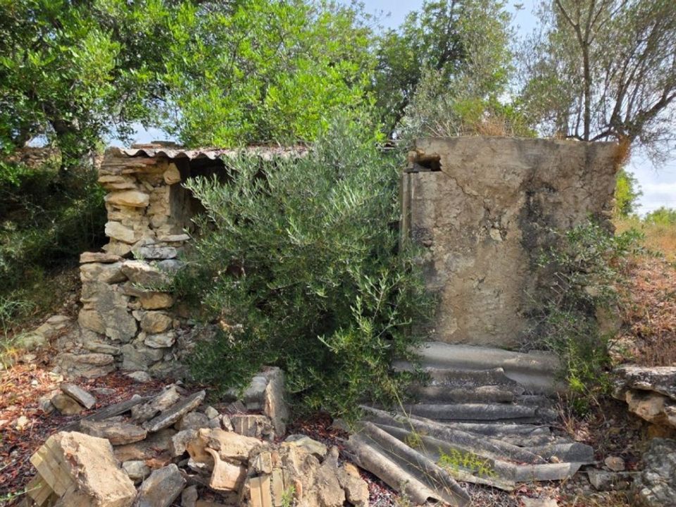 Terrain à Girona, Spain No. 209950