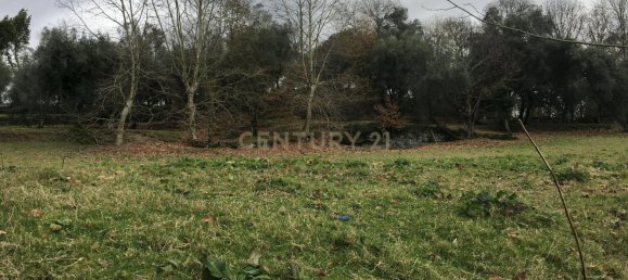 4 Schlafzimmer Haus in Vieira do Minho, Portugal, Nr. 41533 18