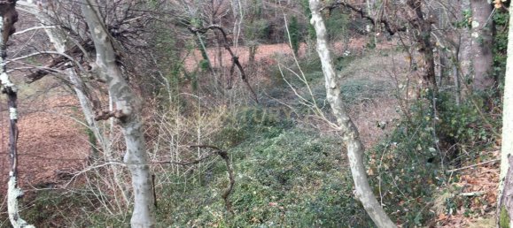 4 Schlafzimmer Haus in Vieira do Minho, Portugal, Nr. 41533 9