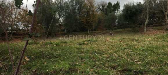 4 Schlafzimmer Haus in Vieira do Minho, Portugal, Nr. 41533 6