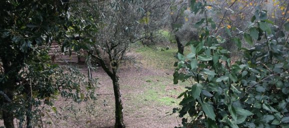 4 Schlafzimmer Haus in Vieira do Minho, Portugal, Nr. 41533 8