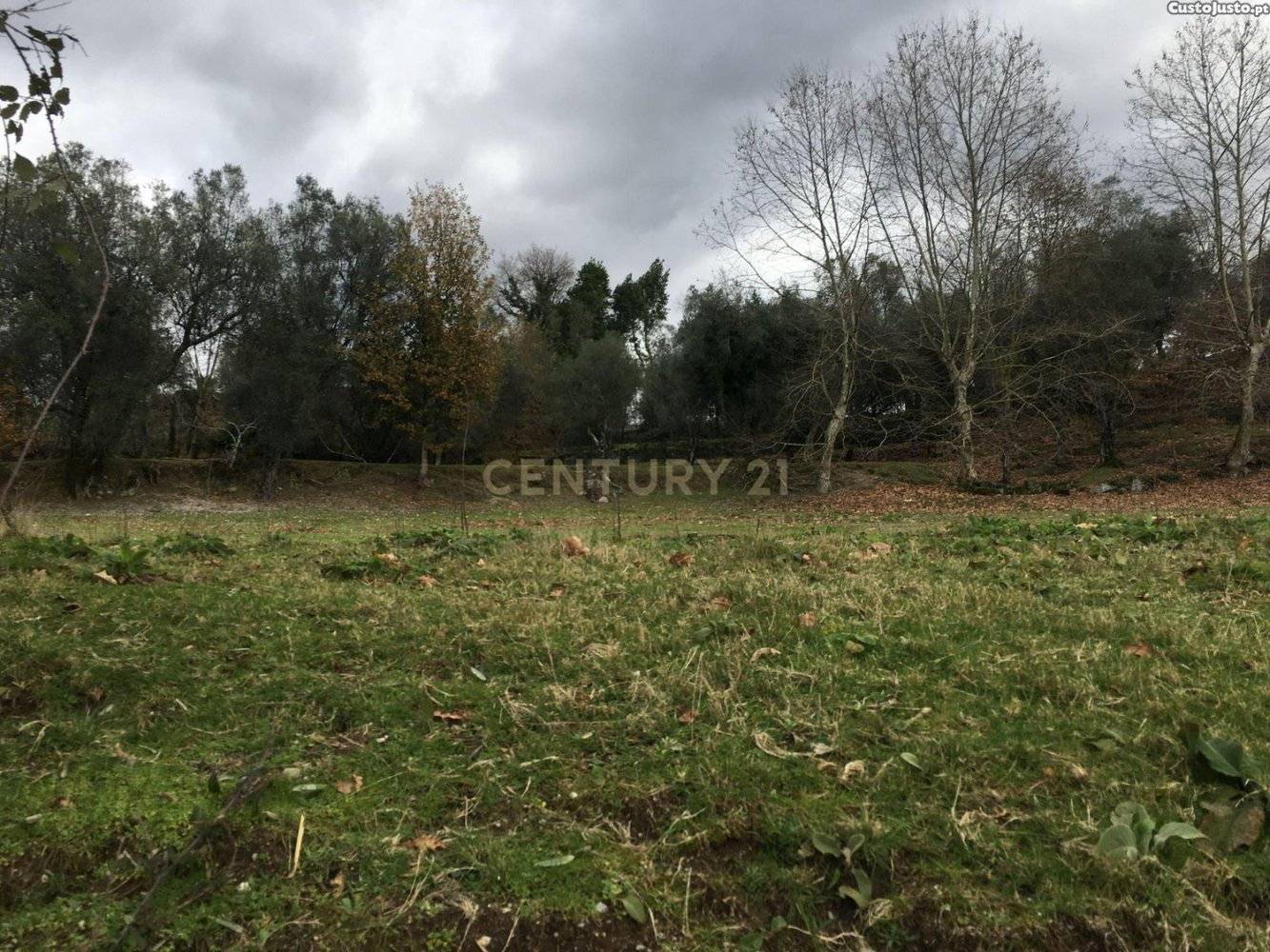 4 Schlafzimmer Haus in Vieira do Minho, Portugal, Nr. 41533