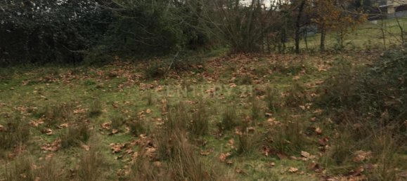 4 Schlafzimmer Haus in Vieira do Minho, Portugal, Nr. 41533 7