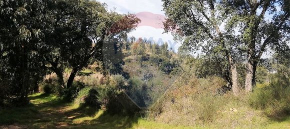 3 غرف نوم منزل في Santa Margarida da Coutada, Portugal رقم 25528 3